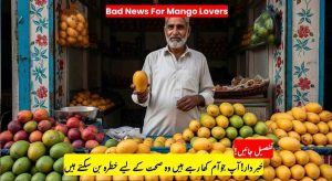 Mango Lovers, Beware: Are You Eating Chemically Ripened Mangoes? Food…