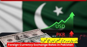 Foreign Currency Exchange Rates in Pakistan: Open Market Buying and…