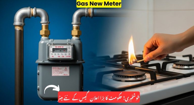 Govt Approves Over 116,000 New Gas Connections for 2025–26 Despite Shortages